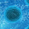 Is Human Metapneumovirus the Start of Pandemic 2.0 in China? 10
