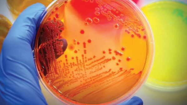Widespread food contamination: Have the fruits been sent to the Doomsday Vaults yet? 19