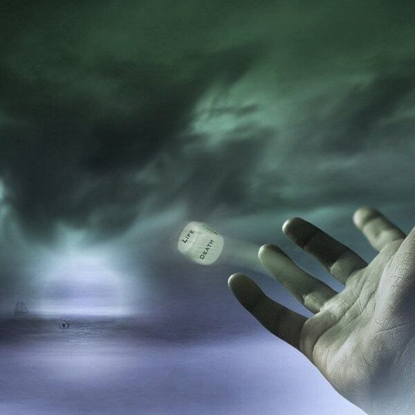 Decoding Omens: Are Black Cats and Spilled Salt Truly Signs from Above? 2