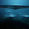 Is There an Underwater UFO Base in the Gulf of Mexico? Scientists Report Mysterious Anomalies and Equipment Losses 8